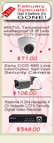 Website Advertisement: Website Ads